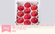 りんご サンふじ 約3kg 特秀品 リンゴ 林檎 令和五年産 2023年産 果物 山形県産 mm-risft3