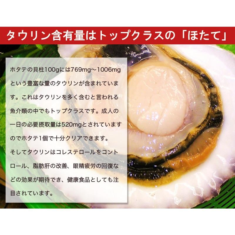 ほたて ホタテ 浜焼きほたてたっぶり1kg お酒の肴、おやつにも最適 ホタテの稚貝