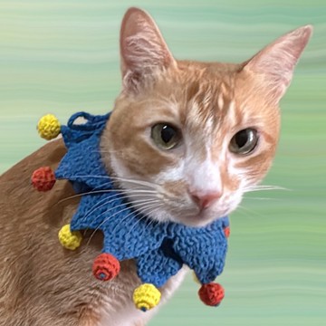 馬戲團小丑__寵物手工編織毛線領巾