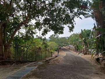 大內區★大內國道84旁景觀平坦農地╭★°住商姚語宸｜台南市大內區嗚頭段