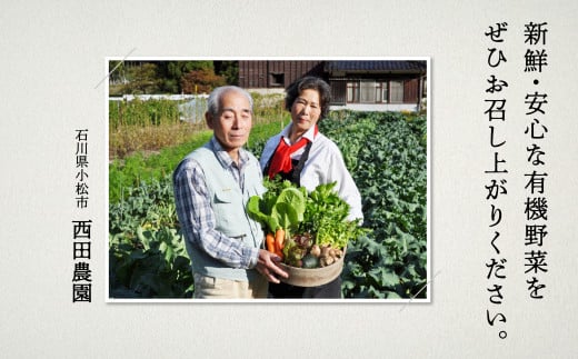 西田農園　季節の野菜詰合せ　Aセット 010001