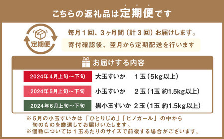  くまもとの すいか 食べ比べ 定期便 合計5玉 スイカ 果物 くだもの フルーツ