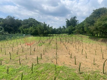大面寬農地｜桃園市大溪區三層