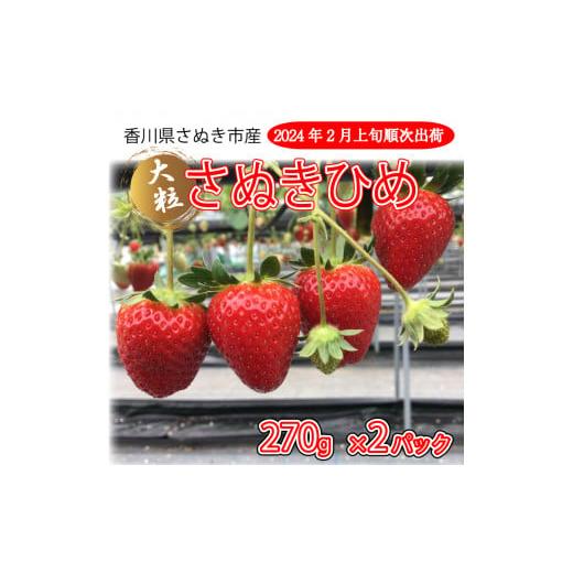 ふるさと納税 香川県 さぬき市  いちご 美味いちご園「さぬきひめ」 いちご 苺 さぬきひめ 270g×2パック 【 苺 ジャム いちごヨーグルト いち…