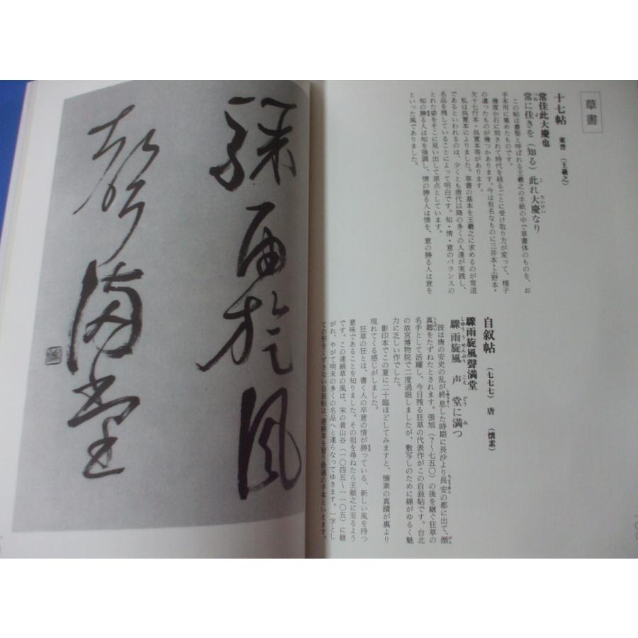 楽しく学ぶ独習書道のお手本 仮名連綿漢字五体