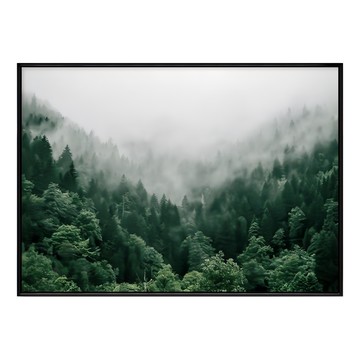 隨旅森林 森林霧景框畫  70 x 50cm  黑色