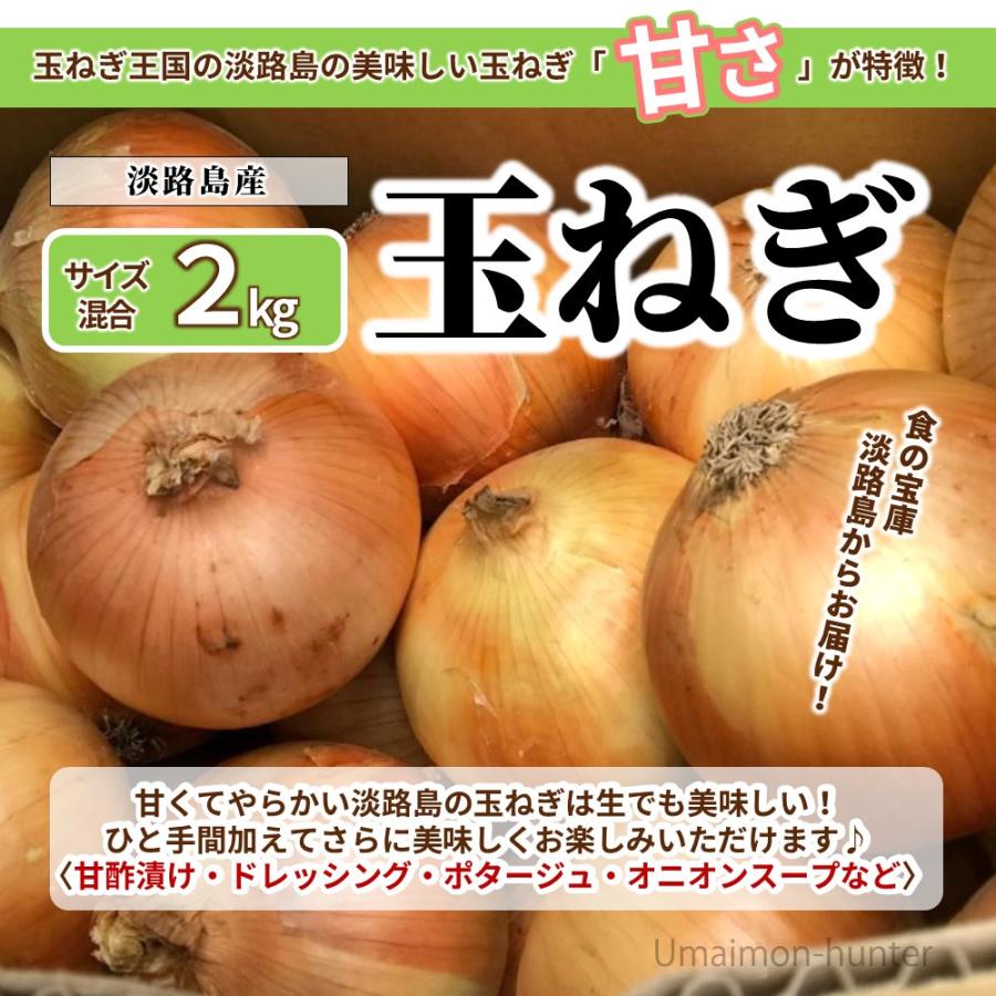 淡路島産 玉ねぎ 2kg×1箱 サイズ混載 ニコマート 兵庫県淡路島産 玉葱 たまねぎ タマネギ 野菜 大きさ 不揃い