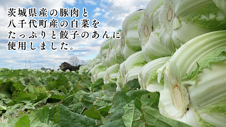 生産量日本一！八千代町の白菜を使った ジューシー白菜餃子 50個（冷凍）ぎょうざ 冷凍餃子 惣菜 中華 点心 お取り寄せ [BN005ya]