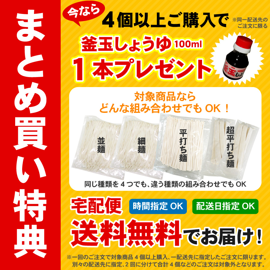 本場讃岐うどん 平打ち麺 1kg 半生 讃岐うどん 送料無料 ポスト投函便での配送(代引 後払 着日指定不可)