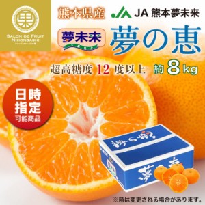 [予約 2024年1月1日必着] 夢の恵 8kg 熊本県産 JA熊本市夢未来 夢未来 みかん 産地箱 お正月必着指定 お年賀 御年賀 冬ギフト