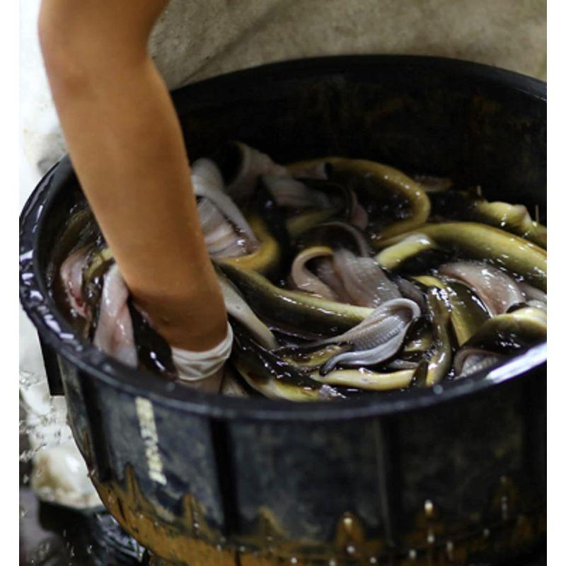 鹿児島県産 大隅うなぎ 焼き肝 1パックあたり 100g (6パック)鰻蒲焼 国産 肝焼き 珍味 おつまみ