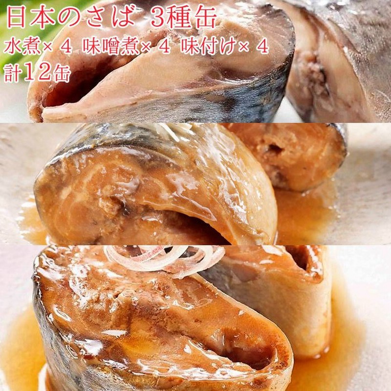 缶詰 魚 防災 非常食 鯖缶 3種缶 水煮缶 味噌煮缶 味付け缶 各4缶 12缶 セット 宝幸 日本のさば サバ缶 鯖 サバ さば 魚缶 通販 Lineポイント最大0 5 Get Lineショッピング