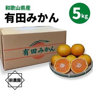 ふるさと納税 BL6172_和歌山県産 有田みかん 5kg 和歌山県湯浅町