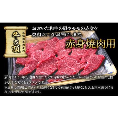 ふるさと納税 おおいた和牛 赤身焼肉300g 和牛 豊後牛 国産牛 赤身肉 焼き肉 牛肉 和牛 大分県産 九州産 津久見市 国産 大分県津久見市