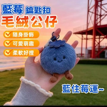 台灣發貨🔥可愛藍莓掛件 攔霉運 藍莓毛絨公仔 藍莓擺件 藍莓 包包掛件 鑰匙扣 包包掛飾 好運掛件 小禮物 送朋友 掛件