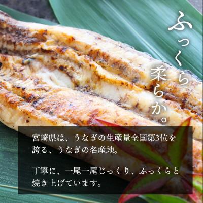 ふるさと納税 美郷町 うなぎ白焼き 1尾(蒲焼タレ付き)