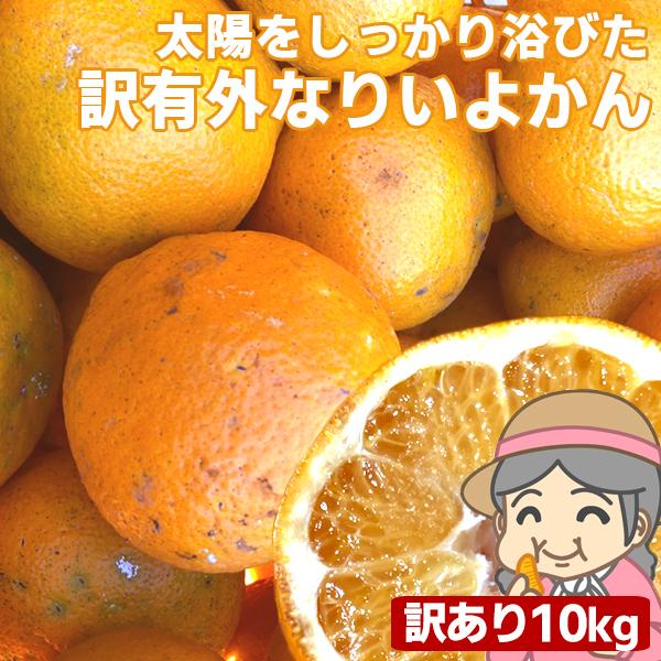 果物　10kg(+約0.5kg多め)　不揃い　伊予柑　LINEショッピング　愛媛産　汚れ有　フルーツ　くだもの　みかん　ご家庭用　農家さんもぐもぐ　傷　外なり訳ありいよかん　柑橘類