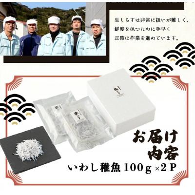 ふるさと納税 湯浅町 厳選 生しらす (100g×2P)