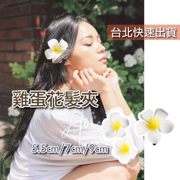【台灣現貨】雞蛋花髮夾 花朵髮夾 髮夾 髮飾 花朵髮飾 小花髮夾 花朵抓夾 花朵鯊魚夾 雞蛋花 雞蛋花髮飾 小花髮飾