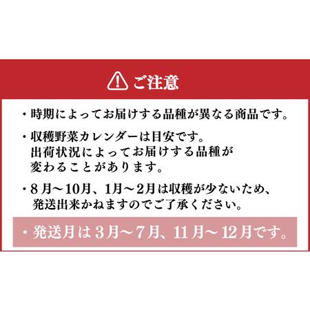 ふるさと納税 旬の 野菜 定期便 3回 お楽しみ 詰め合わせ セット 3種 〜 8種 採れたて 新鮮 下関市 山口 HZ004 山口県下関市