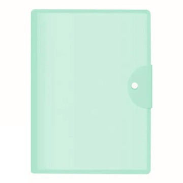 平放收納冊/資料夾/文件夾 綠色 A3 30頁  綠色  1本