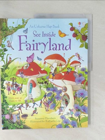 【書寶二手書T1／少年童書_YZH】See Inside Fairyland_Susanna Davidson,Rafaella Ligi