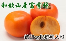 ［厳選・産直］和歌山産の富有柿約2kg（化粧箱入り）（2L～4Lサイズ）★2023年10月下旬頃より順次発送