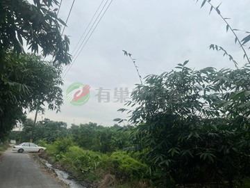 古坑東陽大面寬大路邊低總價美農地｜雲林縣古坑鄉東陽段