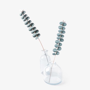 革植家飾｜輕巧款－長尾鐵線蕨（25cm）