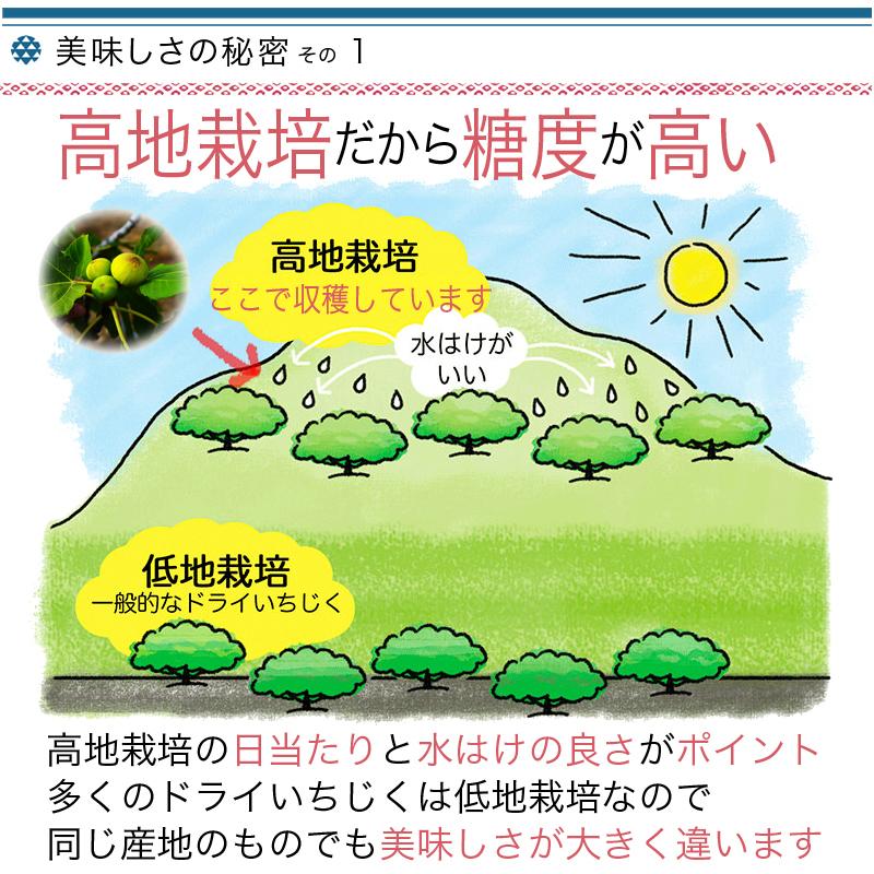 ドライフルーツ ドライいちじく いちじく 無添加 砂糖不使用 トルコ産 2kg 1kg ×2袋 大容量 お得 無花果