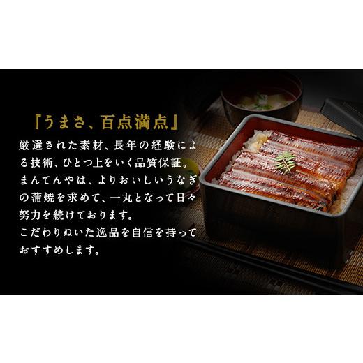 ふるさと納税 福岡県 北九州市 鰻天屋の 九州産 うなぎ 蒲焼 約140g×2尾 セット