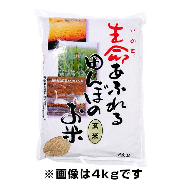 生命あふれる田んぼのお米  ひとめぼれ  玄米 4kg 令和5年産