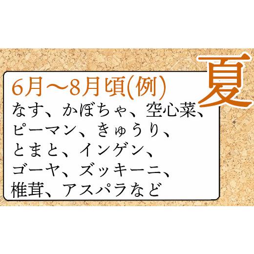 ふるさと納税 佐賀県 唐津市 野菜セット 新鮮とれたて旬の野菜 季節の野菜 詰合せ サラダ「2023年 令和5年」