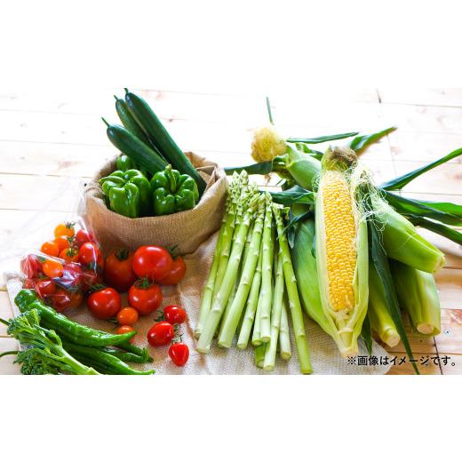 ふるさと納税 北海道 北広島市  おまかせ旬野菜セット 旬 野菜 セット 北海道 北広島市