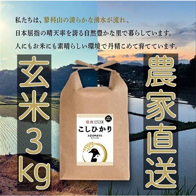 令和5年度産　　3kg　　玄米　　コシヒカリ　　お米  　　　おこめ　長野県　信州産　美味しい 立科町　たてしな