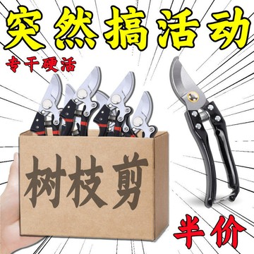 🅱️特快德國工藝園藝剪花枝剪省力強力粗枝剪樹枝專用剪子園林修枝剪