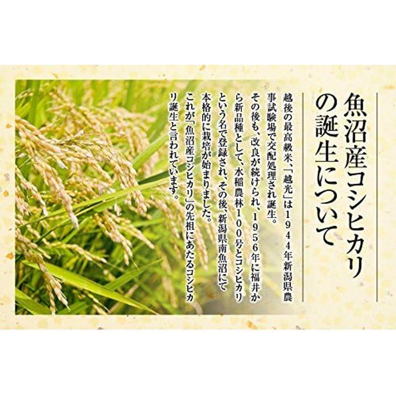 令和５年産 魚沼産 コシヒカリ JAみなみ魚沼農協 安心のＪＡ農協 天地米 30kg