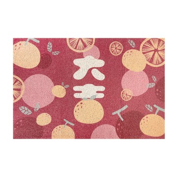 刮泥踏墊 75 x 45cm  大吉 多色  1個
