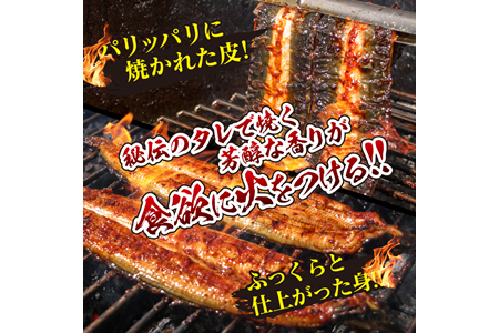 職人手焼きうなぎ蒲焼2尾(計260g以上)　鰻　ウナギ　魚　魚介　国産 CD40-23