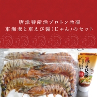 唐津特産活プロトン冷凍車海老と車えび醤(じゃん)のセット(250g×2P 醤90g) 刺身 フライ 煮付 ギフト 「2022年 令和4年」