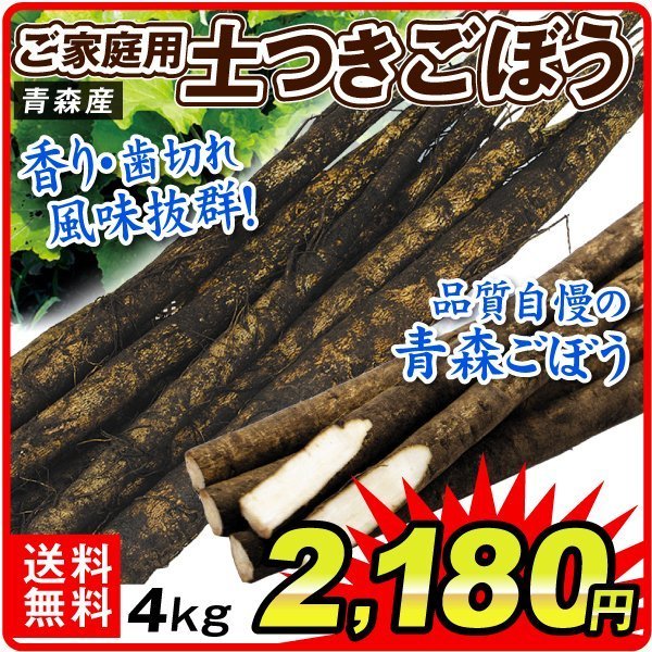 ごぼう 青森産 土付きごぼう 4kg 送料無料 食品