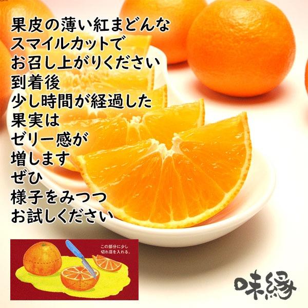 愛媛産 紅まどんな 5Kg箱 Mサイズ ご家庭用 ご自宅用　送料無料　少し訳あり 多少キズあり 気軽な 贈り物 おすそわけ