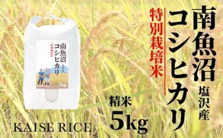 南魚沼産塩沢コシヒカリ（農薬不使用）精米５ｋｇ