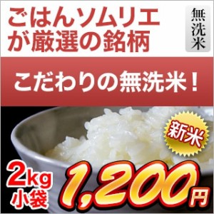 米　お米　2ｋｇ 新米 令和5年(2023年)産 くりやの無洗米 香川県産こしひかり 2kg無洗米 コシヒカリ