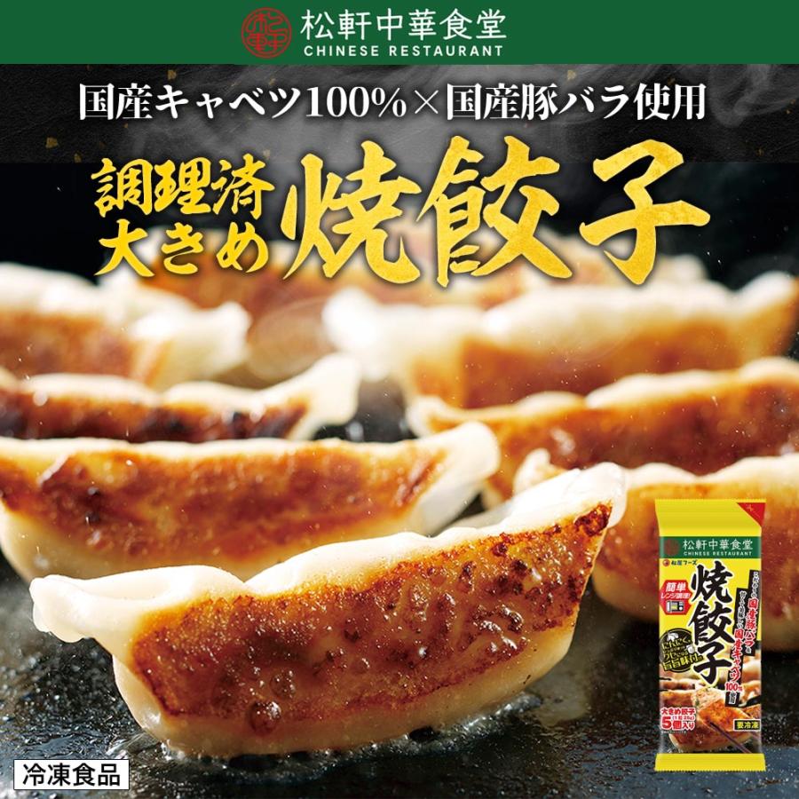 (メーカー希望小売価格2500円→2190円) 松軒中華食堂「餃子」5個×5パック 送料無料 レンジで完成 餃子 ぎょうざ ギョウザ 調理済 時短 保存食 お取り寄せ