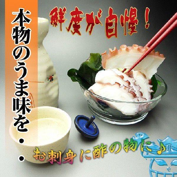 瀬戸内海産　明石産の茹でタコを産地直送便