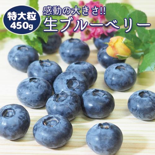 早期ご予約 限定販売 「特大粒 ブルーベリー 品種MIX 450g （1箱4パック入）」 送料無料 （クール便限定）  生食用 ブルーマジック 千葉県