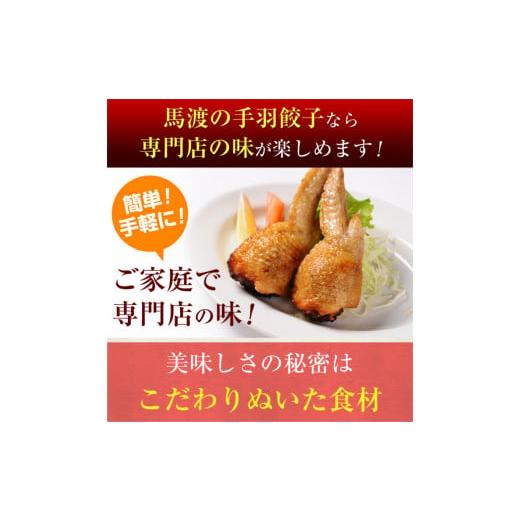 ふるさと納税 宮崎県 高鍋町 TV番組で餃子日本一獲得！＜餃子の馬渡馬渡のもっちり餃子40個と手羽餃子9本セット＞翌々月末迄に順次出荷 餃子の馬渡 ぎょうざ …