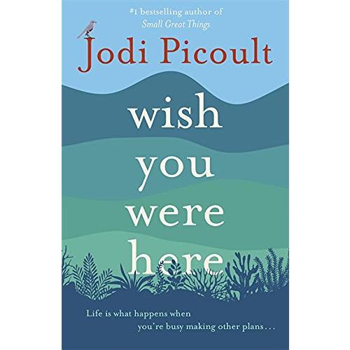 Wish You Were Here (Paperback)