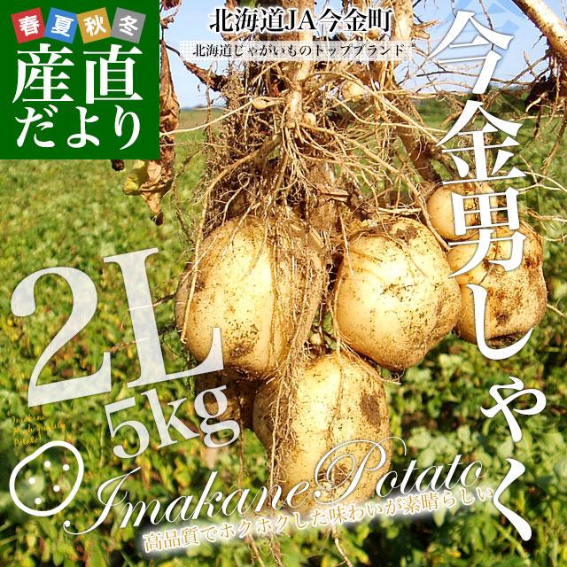北海道産 JA今金町 じゃがいも 今金男爵 2Lサイズ 約5キロ（22玉前後） 送料無料 馬鈴薯 ジャガイモ 芋 市場スポット